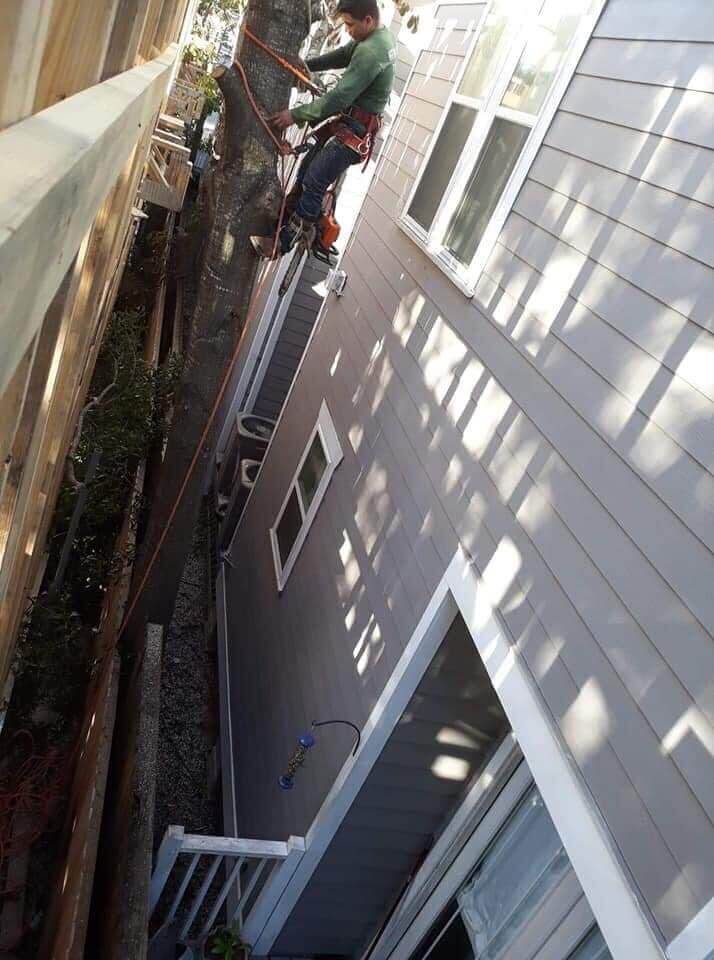 new black window structure