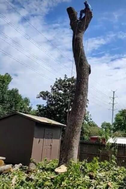 kew kitchen cabinets